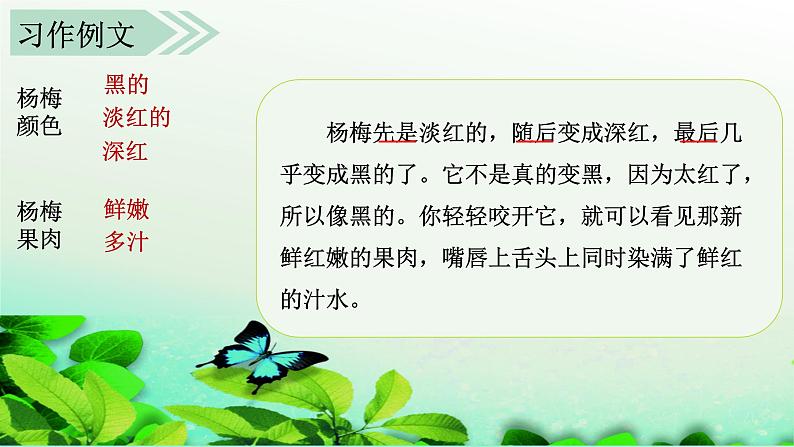 部编版语文小学三年级上册（课堂教学课件2）习作五    我们眼中的缤纷世界第6页