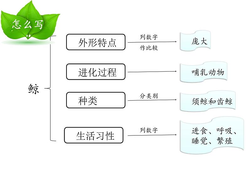 五上第五单元习作《介绍一种事物》课件05