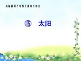 15.《太阳》课件