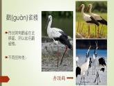 8  登鹳雀楼  第一课时 ppt课件