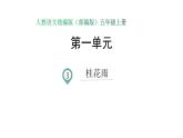 语文部编版五年级上册3.桂花雨(ppt课件+课时训练)