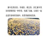 语文部编版五年级上册3.桂花雨(ppt课件+课时训练)