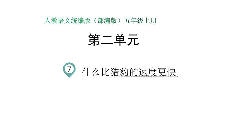 语文部编版五年级上册7.什么比猎豹的速度更快(ppt课件+课时训练)01