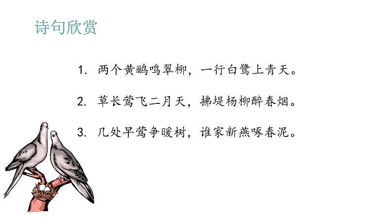 语文部编版五年级上册4.珍珠鸟(ppt课件+课时训练)02