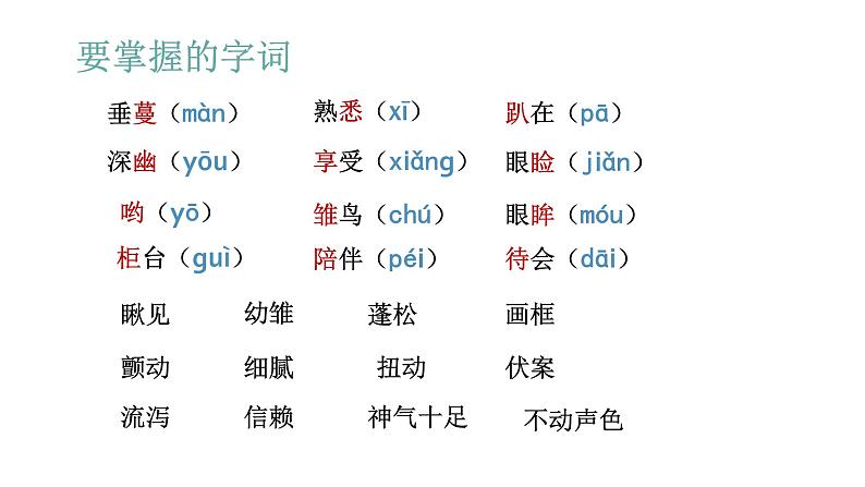 语文部编版五年级上册4.珍珠鸟(ppt课件+课时训练)05