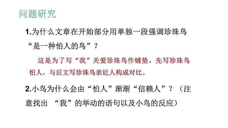 语文部编版五年级上册4.珍珠鸟(ppt课件+课时训练)06