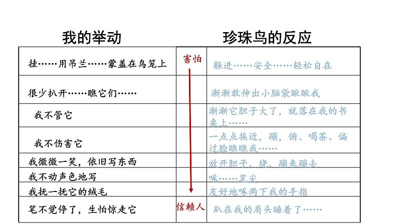 语文部编版五年级上册4.珍珠鸟(ppt课件+课时训练)07