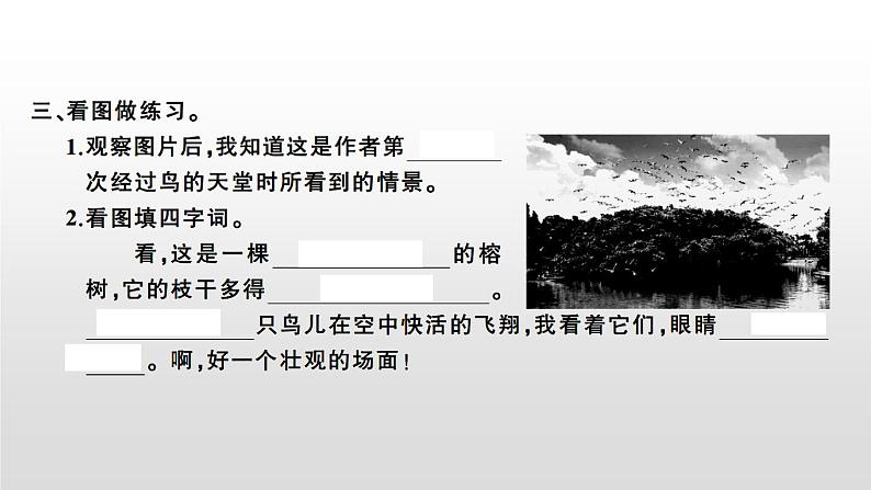 语文部编版五年级上册23鸟的天堂(ppt课件+课时训练)03