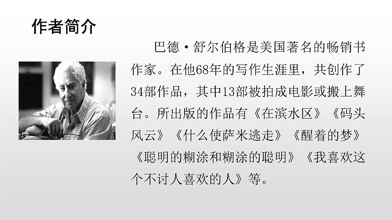 语文部编版五年级上册20.“精彩极了”和“糟糕透了”(ppt课件+课时训练)02