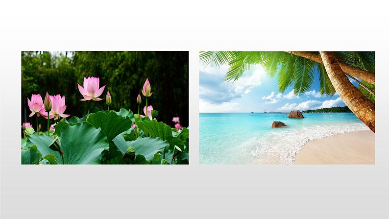 语文部编版五年级上册22四季之美(ppt课件+课时训练)03