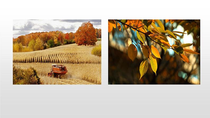 语文部编版五年级上册22四季之美(ppt课件+课时训练)04