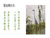 语文部编版五年级上册1.白鹭(ppt课件+课时训练)