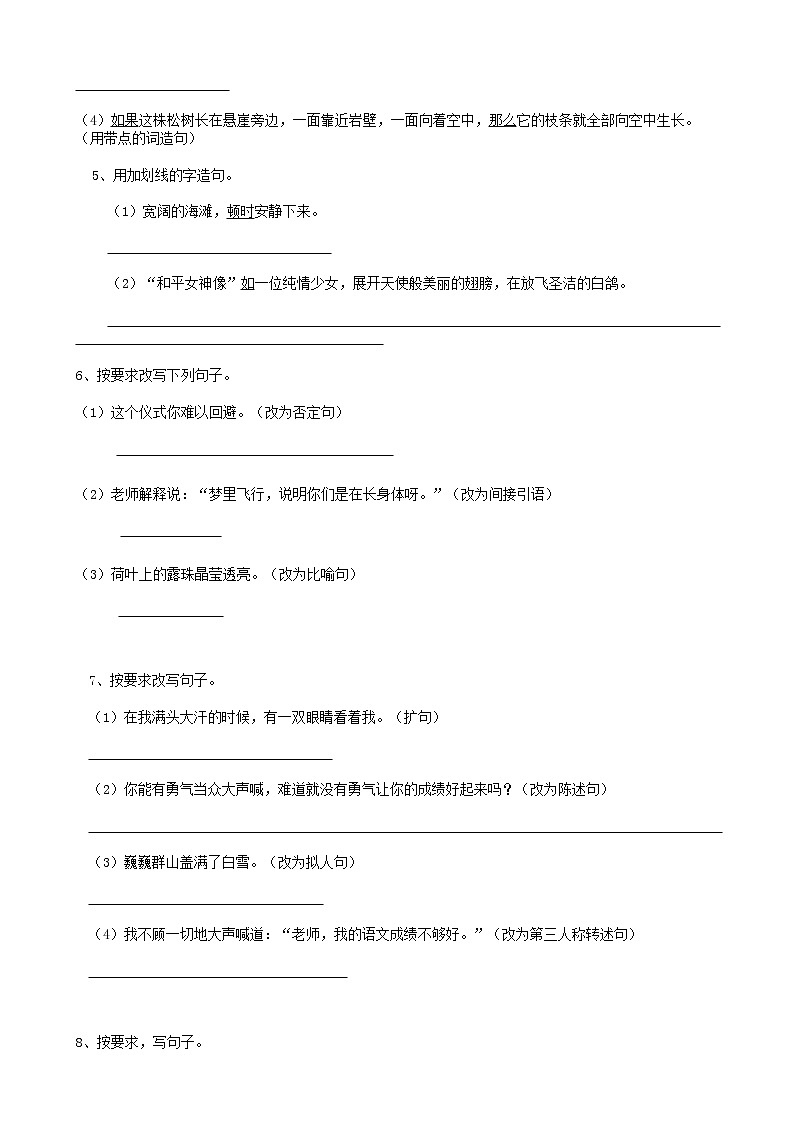 部编版语文21小升初句法句式-修辞02（18页） 试卷02