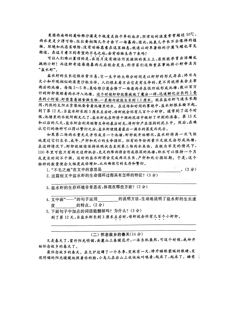 部编版语文6上期中试卷03