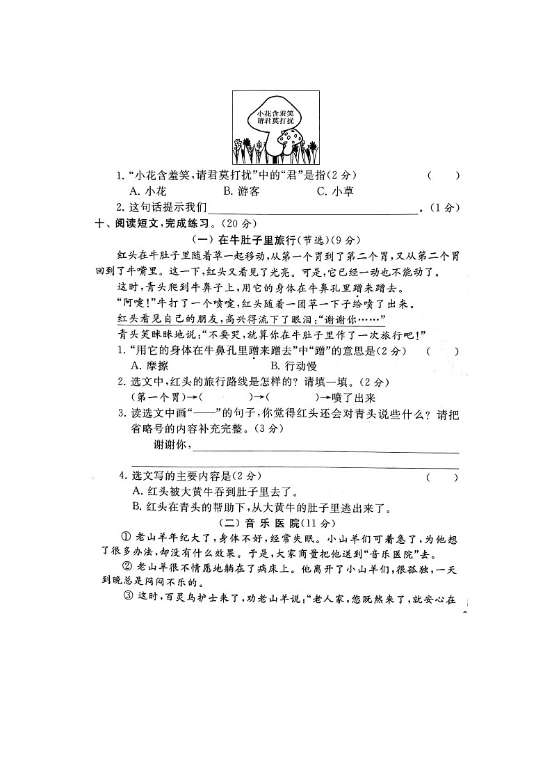 部编版语文3上期中试卷第3页
