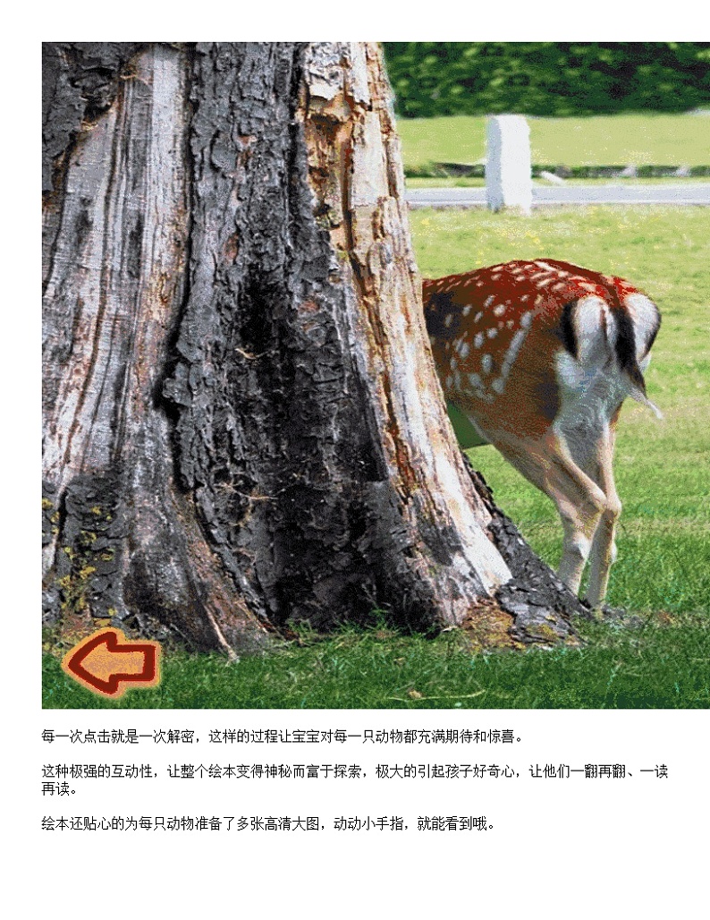 比尾巴   同步练习   神奇的尾巴素材03