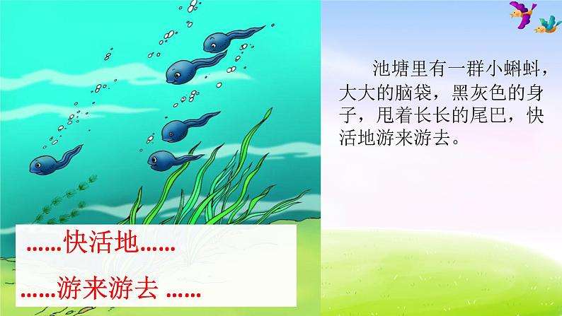 部编语文二年级上册《小蝌蚪找妈妈》课件PPT3第5页