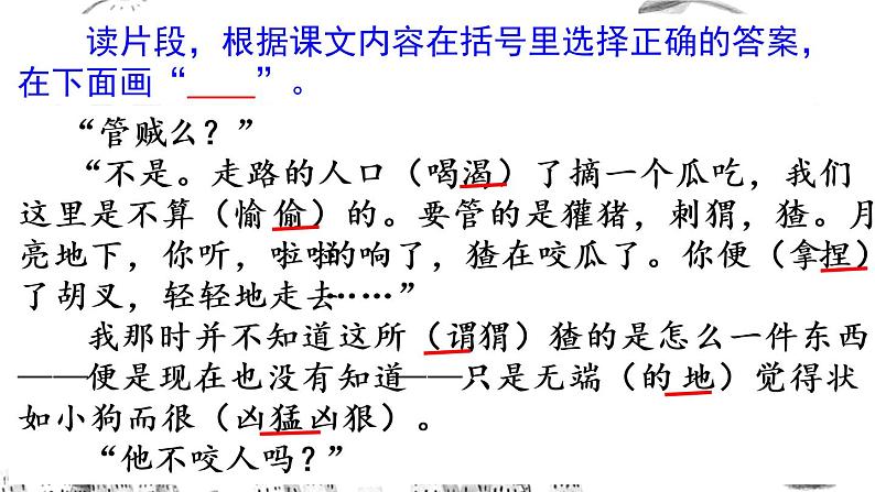 人教部编六年级上册语文期末阅读专项复习（含答案） 练习课件07