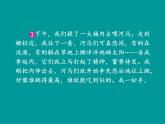 部编版三年级上册语文课件-第八单元 那次玩得真高兴第2课时(共62张PPT)