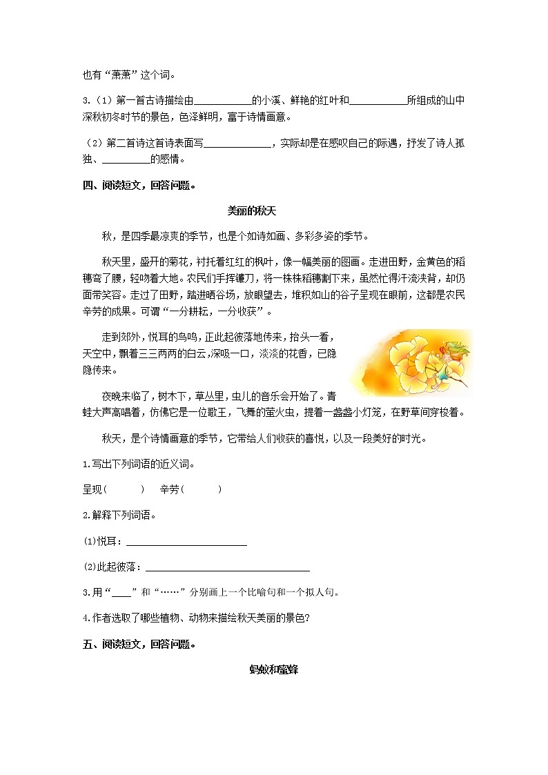 部编版三年级上册语文专项练习.课外阅读专项03