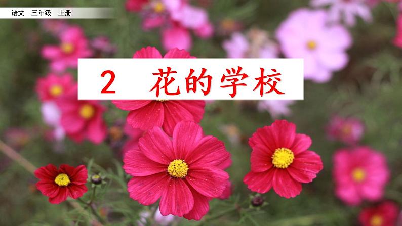 2、 花的学校 课件02