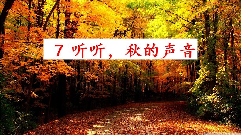 7 听听，秋的声音 课件01