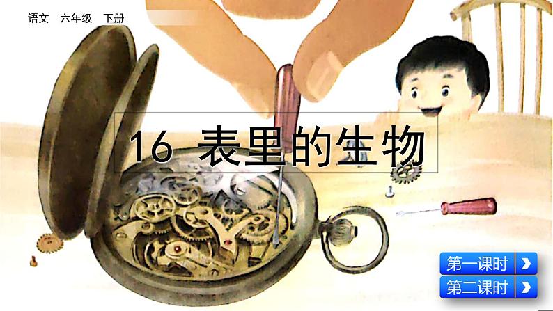 表里的生物  课件（含音频视频素材 课文朗读视频 生字视频）04