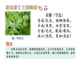 古詩詞誦讀  課件（含課文朗讀視頻 ）