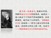 部编版语文六年级下册-02第二单元-02骑鹅旅行记（节选）-课件03