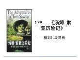 部编版语文六年级下册-02第二单元-03汤姆·索亚历险记-课件02