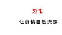 小学语文人教部编版六年级下册习作：让真情自然流露课堂教学ppt课件