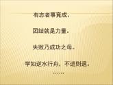 部编版语文六年级下册-05第五单元-03真理诞生于一百个问号之后-课件05