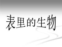 小学语文人教部编版六年级下册15 表里的生物备课ppt课件