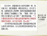 部编版语文六年级下册-05第五单元-06习作：插上科学的翅膀飞-课件03