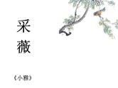 部编版语文六年级下册-07古诗词诵读-01采薇（节选）-课件03