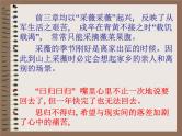部编版语文六年级下册-07古诗词诵读-01采薇（节选）-课件03