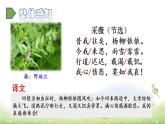 部編版語文六年級下冊-07古詩詞誦讀-01采薇（節(jié)選）-課件04