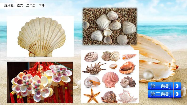 3 “贝”的故事（教学课件+素材）_人教部编版语文二下01