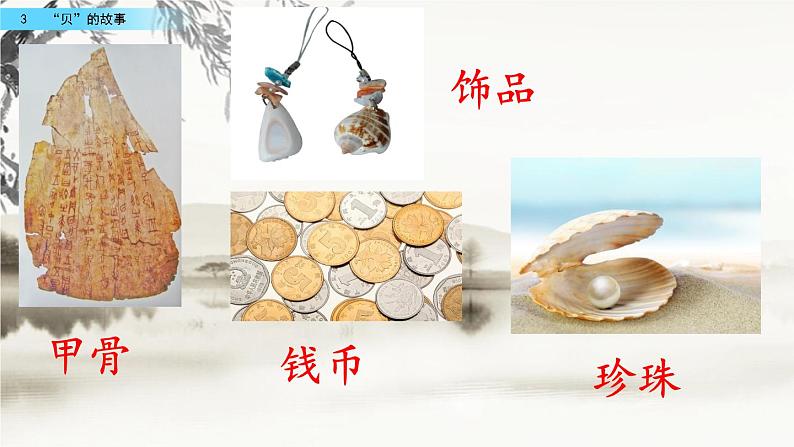 3 “贝”的故事（教学课件+素材）_人教部编版语文二下08