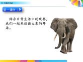 19 大象的耳朵（教学课件）_人教部编版语文二下