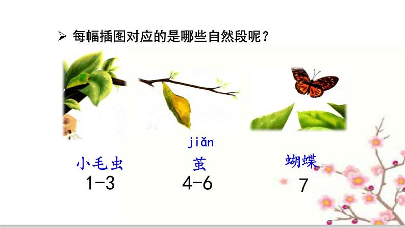 22 小毛虫（教学课件）_人教部编版语文二下07