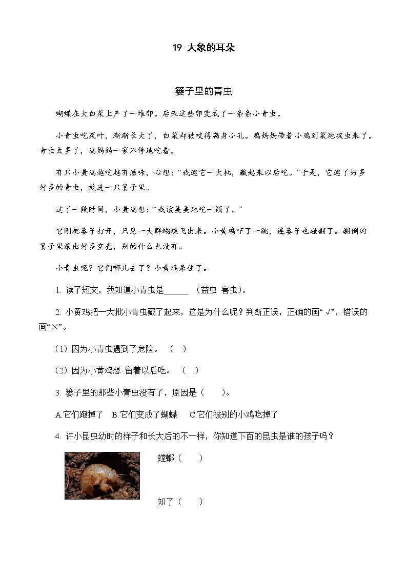 19 大象的耳朵 课后阅读练习（含答案）第1页
