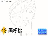 部编版语文二年级下册：13 画杨桃 精品PPT课件（含音/视频）