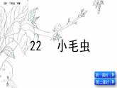 部编版语文二年级下册：22 小毛虫 精品PPT课件（含音/视频）