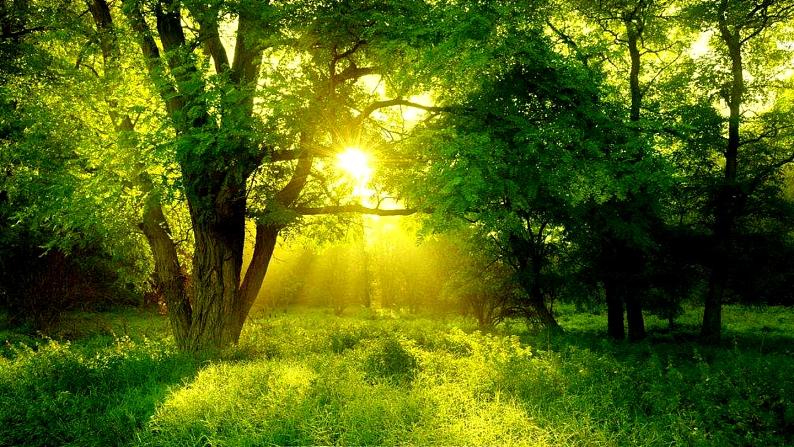 部编版语文二年级下册：23 祖先的摇篮 精品PPT课件（含音/视频）02