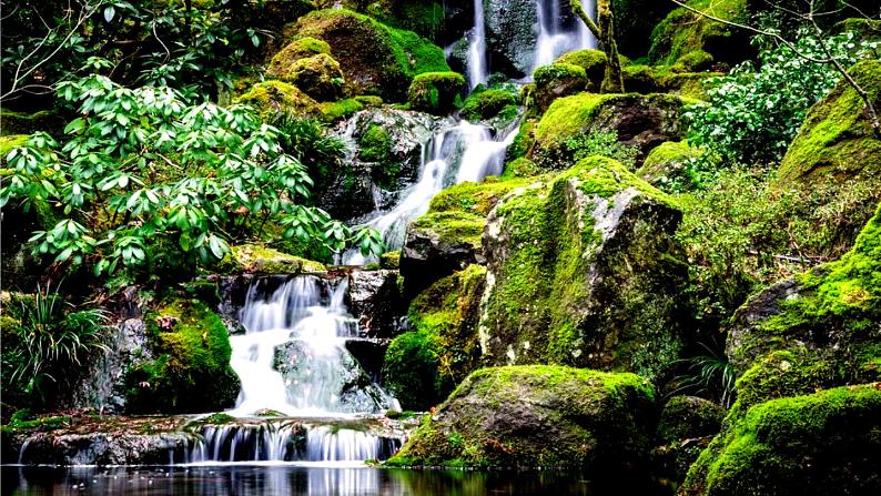 部编版语文二年级下册：23 祖先的摇篮 精品PPT课件（含音/视频）03