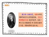 6《骑鹅旅行记（节选）》PPT课件_部编版六下语文