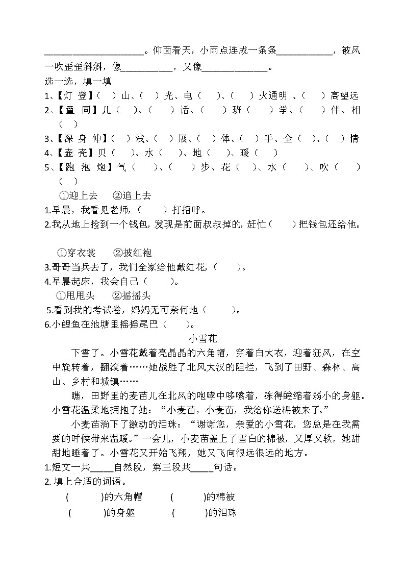 部编版二上语文期末复习之同音字+阅读题02