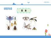 《昆虫备忘录》课件+配套教案+练习）部编版三年级下册