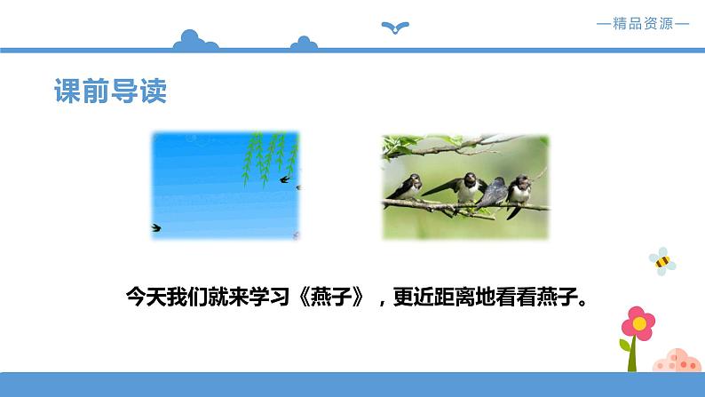 《燕子》课件+配套教案+练习 部编版三年级下册第5页